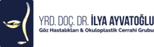 Yrd. Doç. Dr. İlya Ayvatoğlu